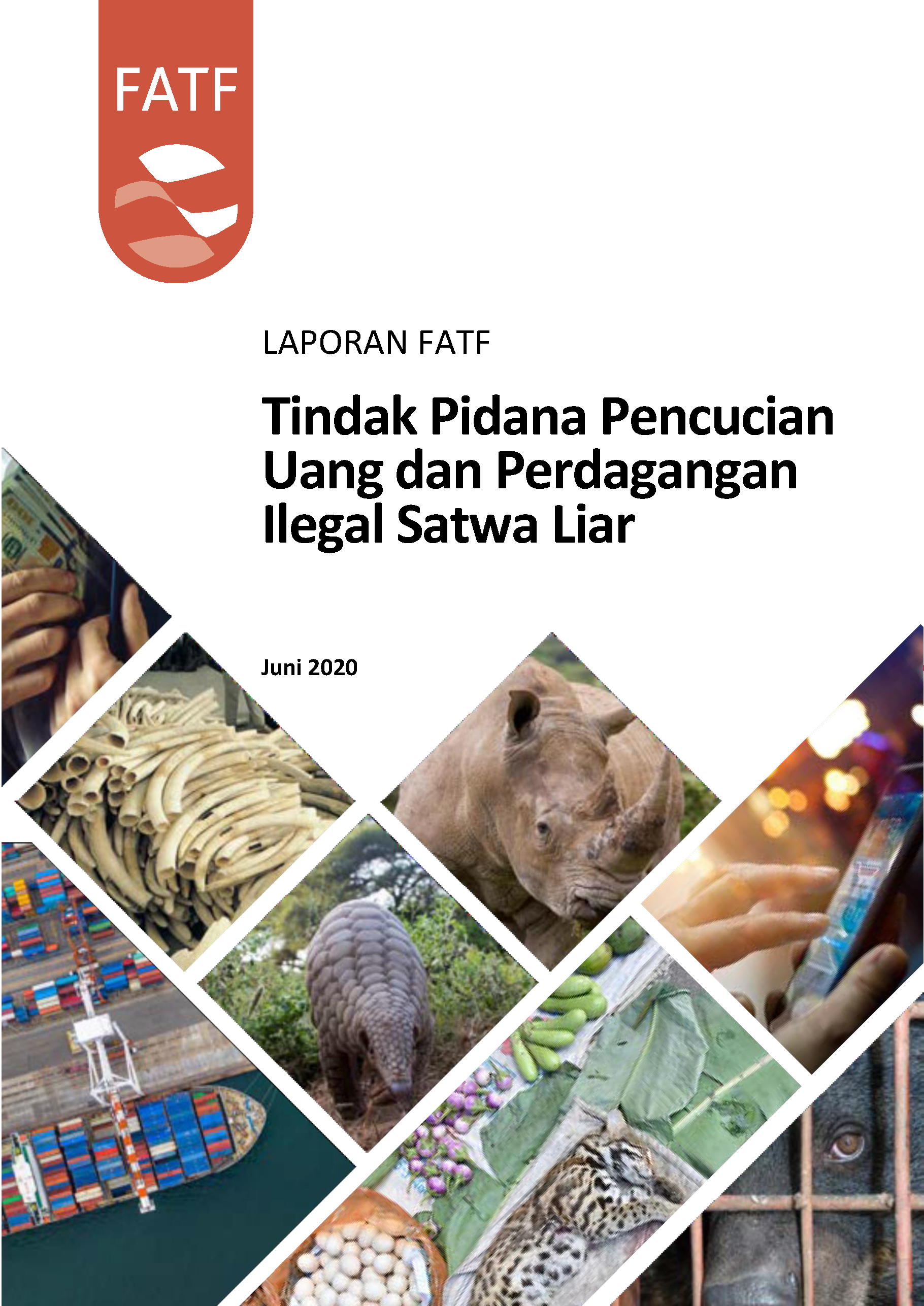 LAPORAN FATF : Tindak Pidana Pencucian Uang dan Perdagangan Ilegal Satwa Liar